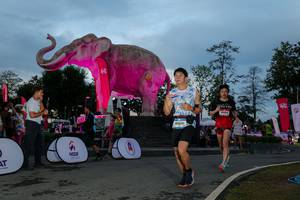 BIB: 
                            <button type="button" onclick="openModal(26529594)" class="btn btn-primary btn-sm float-right btn-popup" data-toggle="modal" data-target=".modal-high-quality">
                        <i class="fas fa-shopping-cart"></i> Add to Cart
                    </button>
                                            <button type="button" onclick="isThisMe(26529594, true)" class="btn btn-success btn-sm float-right btn-popup btn-isme hidden" data-toggle="tooltip" data-placement="bottom" title="นี่คือรูปของคุณใช่ไหม คลิกที่นี่เพื่อเอาเข้าอัลบั้ม">
                        <i class="fas fa-plus"></i> Add to album
                    </button>
                    <button type="button" onclick="isThisMe(26529594, false)" class="btn btn-warning btn-sm float-right btn-popup btn-isnotme hidden">
                        <i class="fas fa-ban"></i> Remove from album
                    </button>